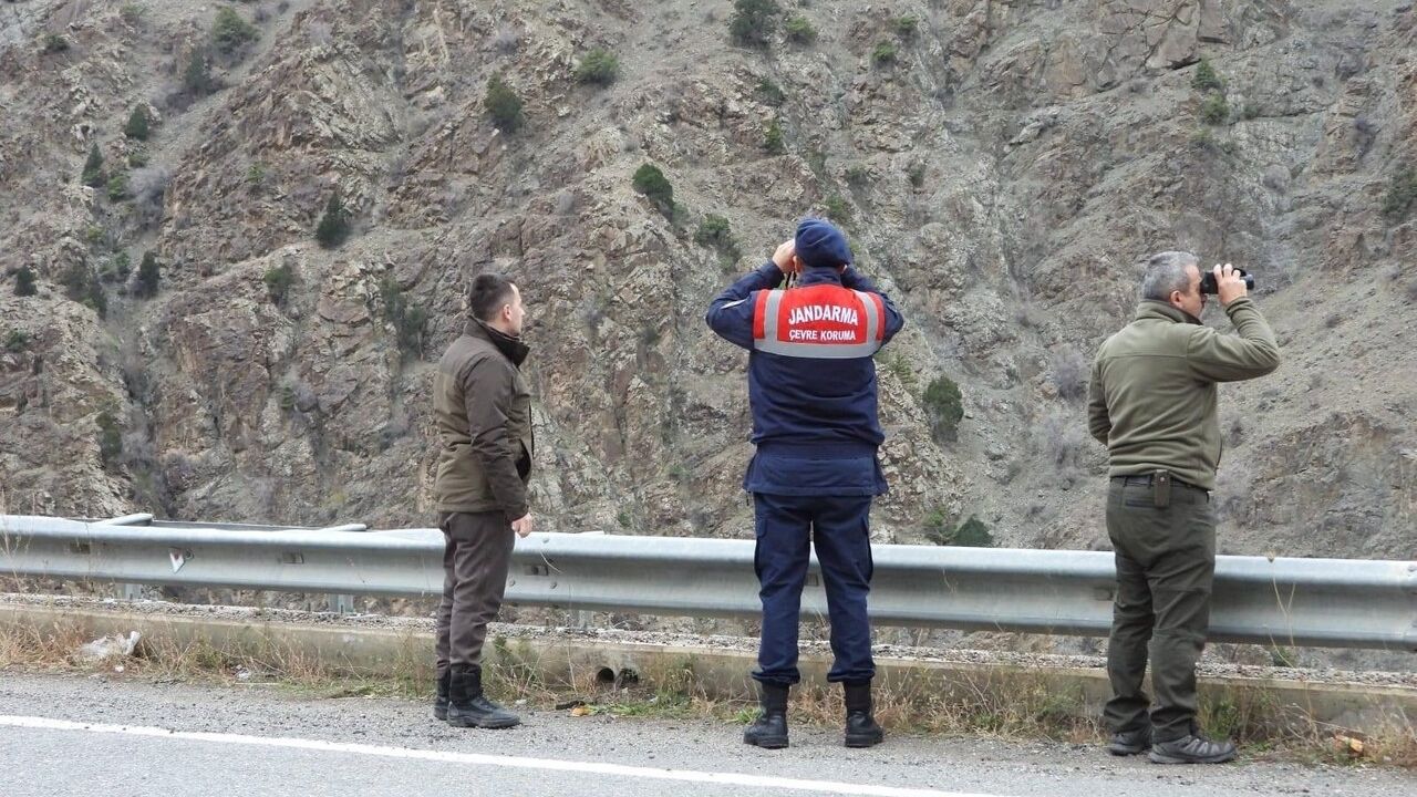 Artvin'de kaçak avcılığa karşı denetimler devam ediyor