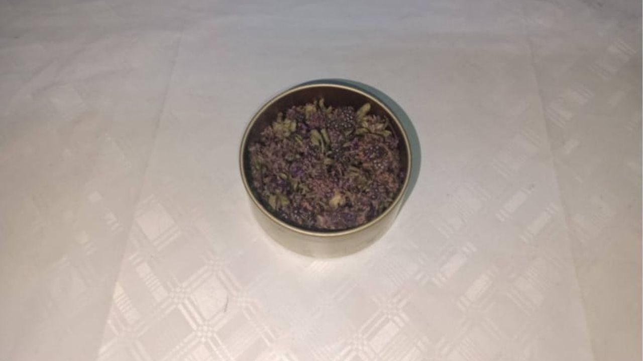 Artvin'de Yayla Çayı Çiçeği Kaçakçılığına Jandarma Müdahalesi