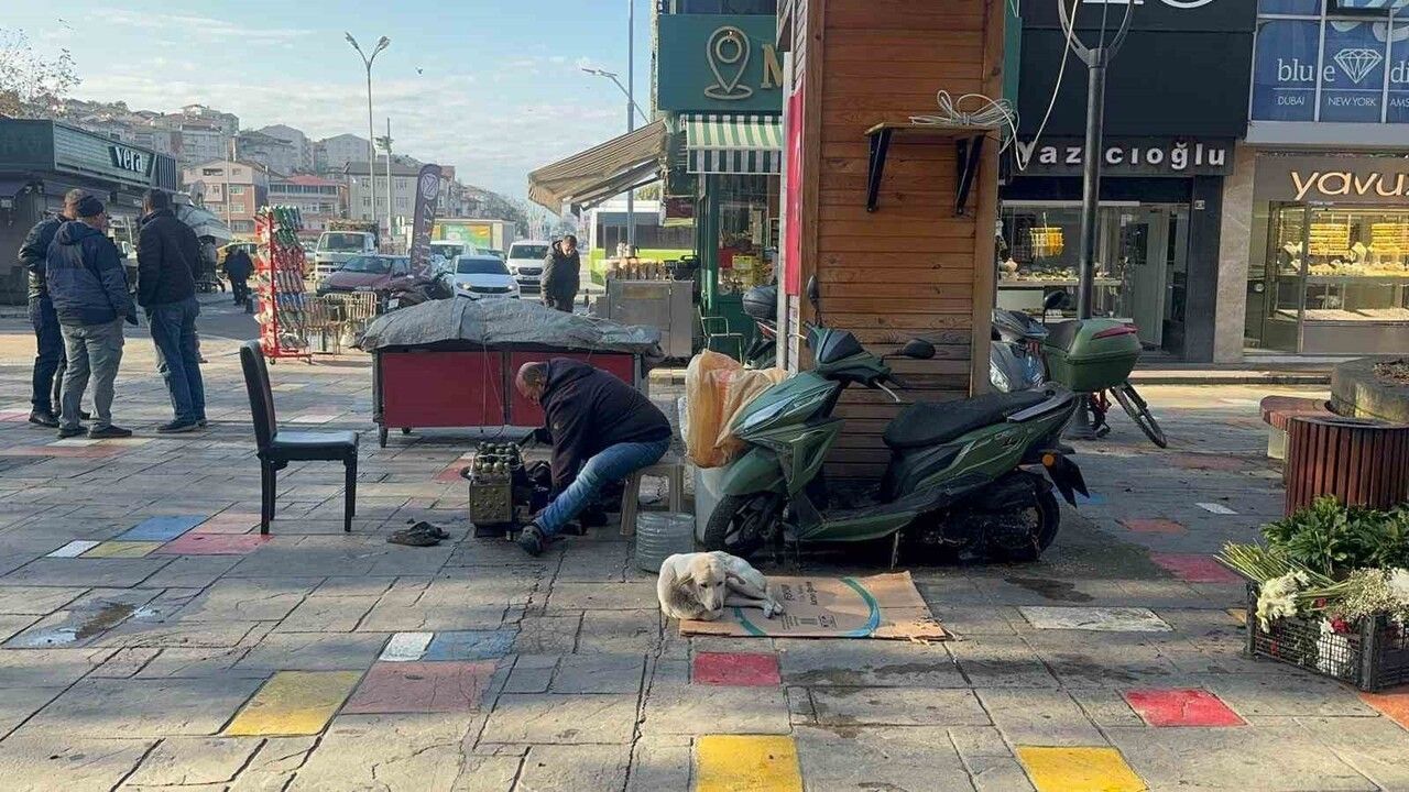 Ayakkabı boyacısı Hüseyin Öztürk, engelli köpeği 'Pamuk'a bebek gibi bakıyor