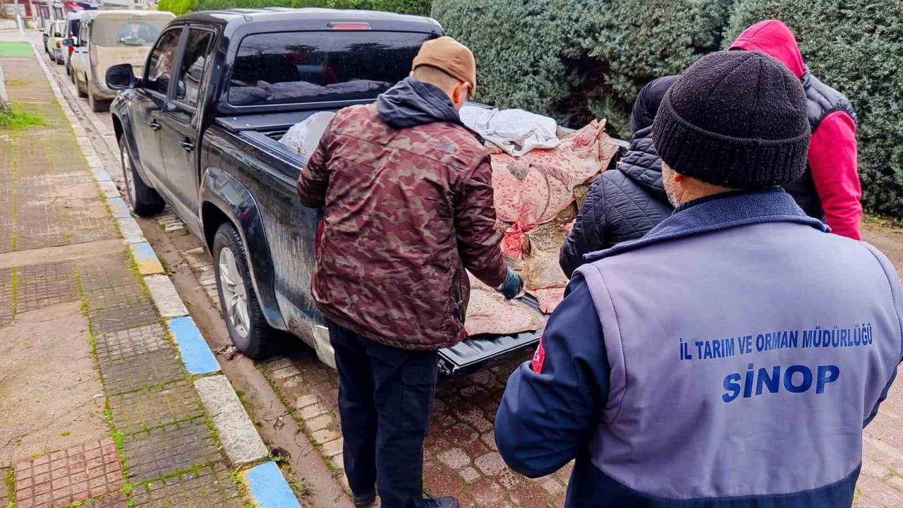 Ayancık’ta 625 kalkan balığı el konuldu, ihtiyaç sahiplerine dağıtıldı