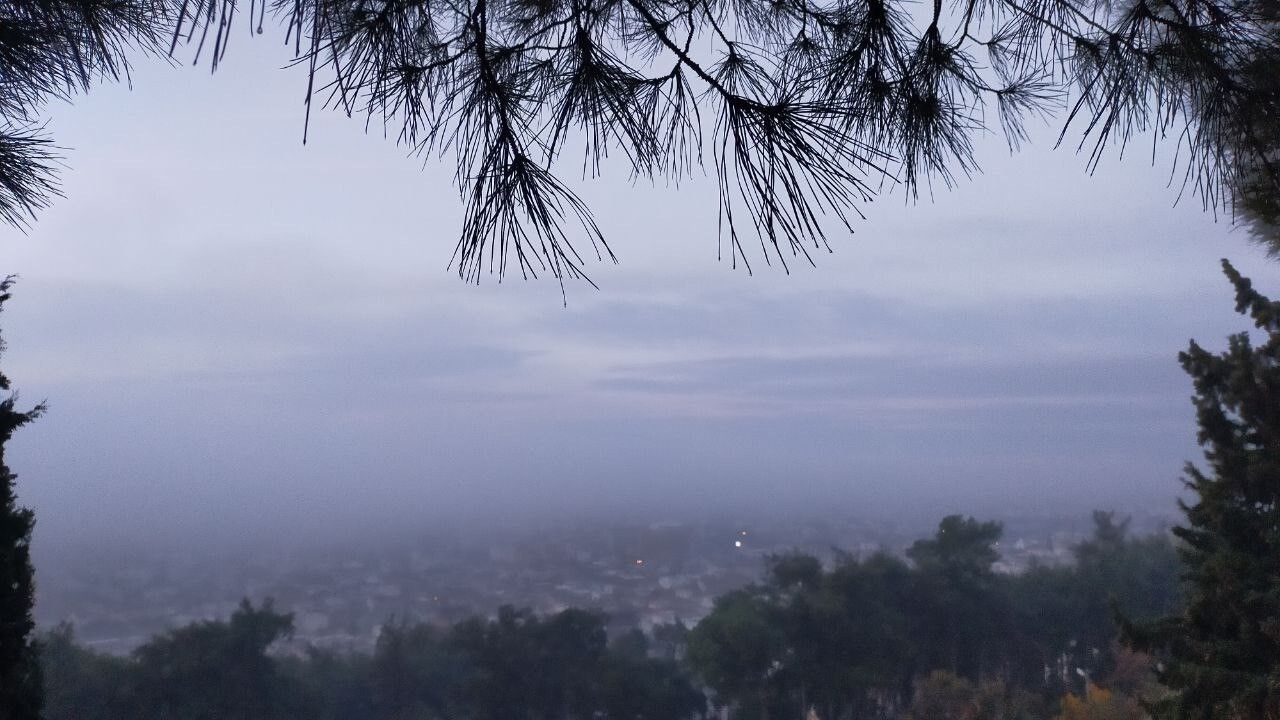 Aydın'da sabah sisleri kartpostallık görüntüler oluşturdu