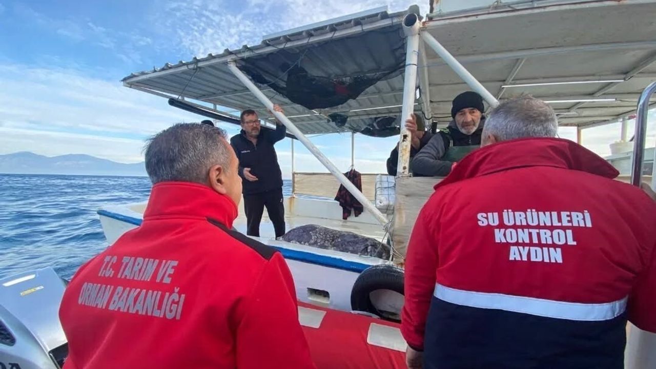 Aydın'da su ürünleri denetimleri aralıksız devam ediyor