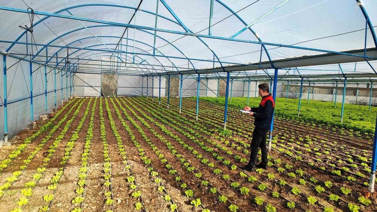 Babaeski'de sera ve sarımsak üretim alanlarında denetim