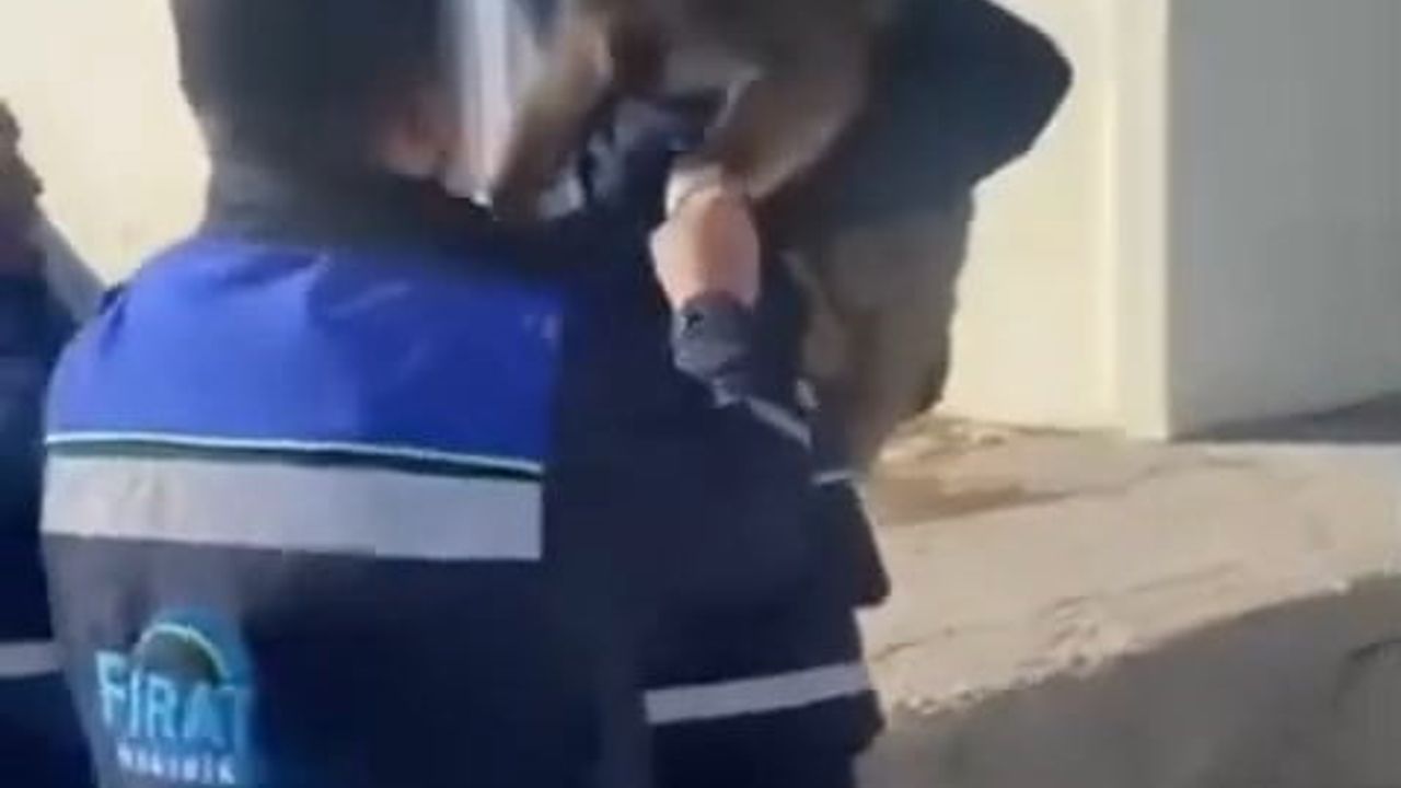 Bahçe çitinde sıkışan yaban keçisini Fırat EDAŞ ekipleri kurtardı