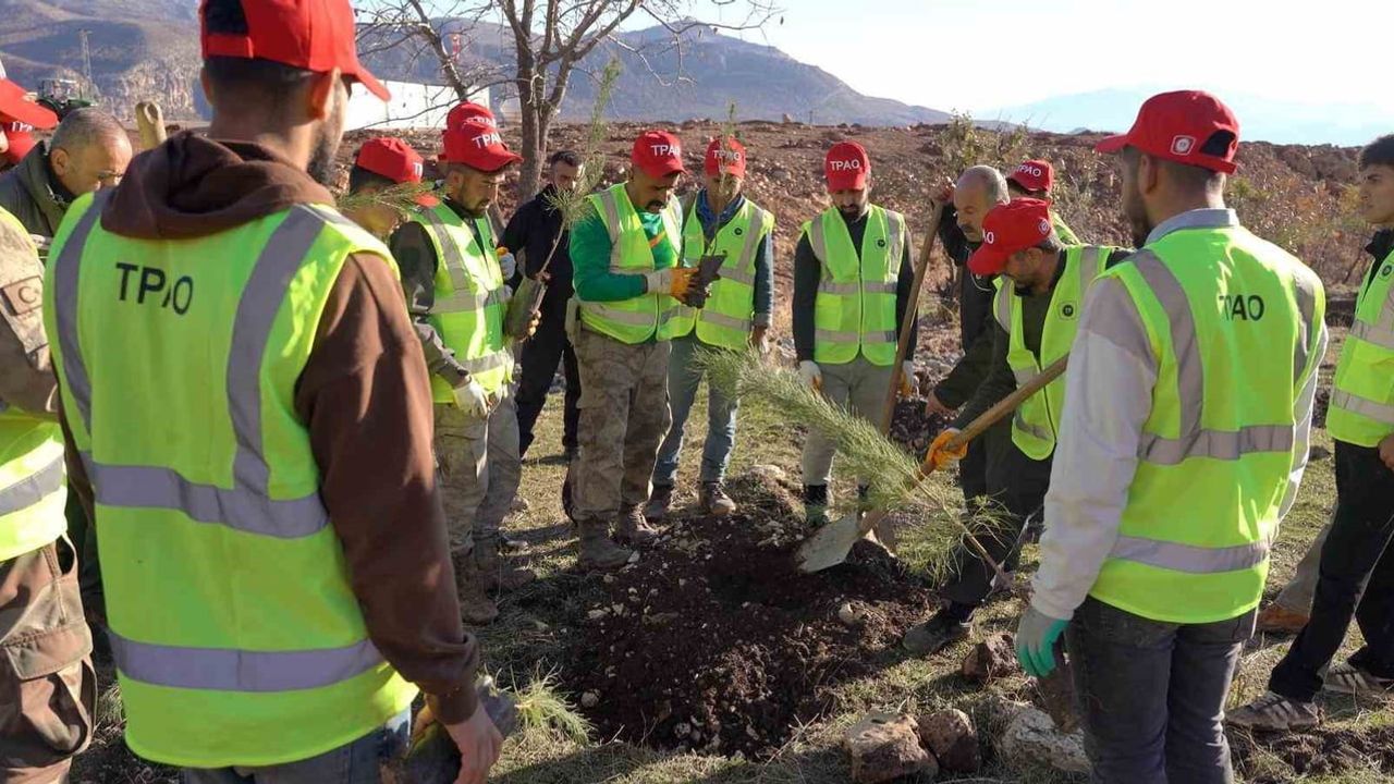 Bakan Bayraktar: Şırnak Gabar’da 100 bin fidanlık ağaçlandırma başladı