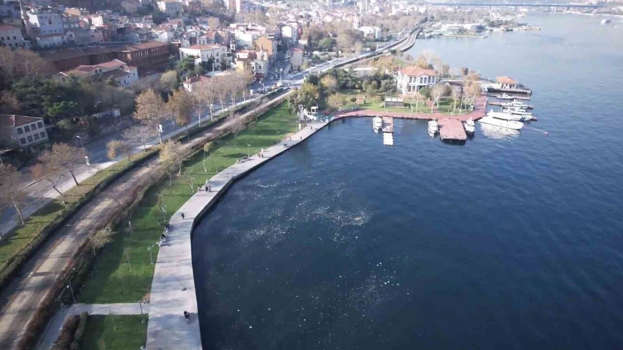 Balat sahilinde çöpler ve deniz anaları balıkçıları rahatsız etti