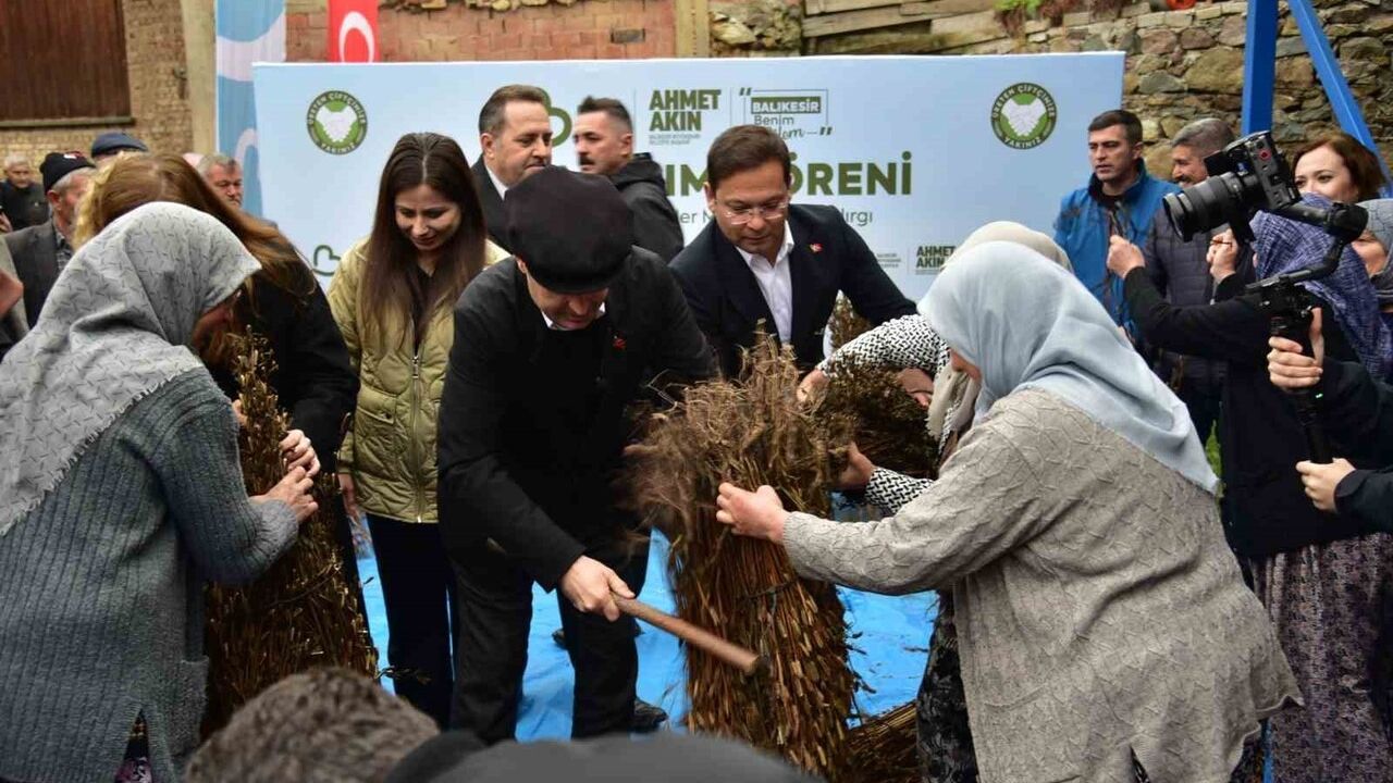 Balıkesir’de susam alım fiyatı 155 TL olarak açıklandı