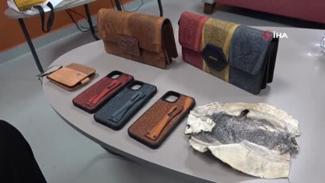 Balon balığı derisinden yapılan aksesuarların izinsiz kullanımı mahkemeye taşındı