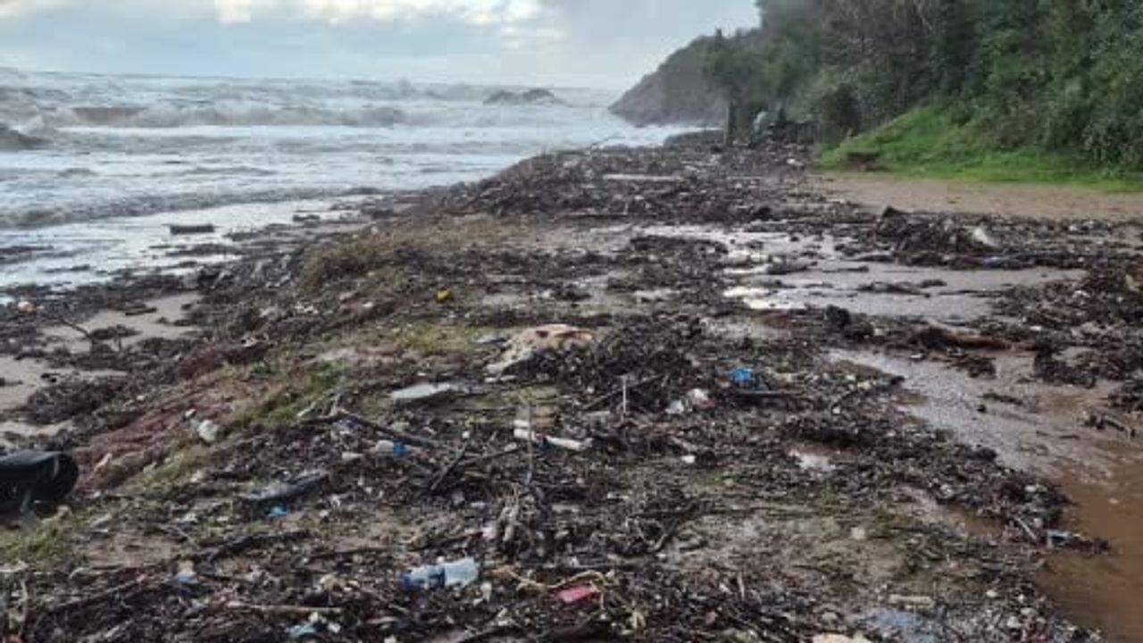 Bartın Bozköy Sahili'ne ölü yunus kalıntıları vurdu