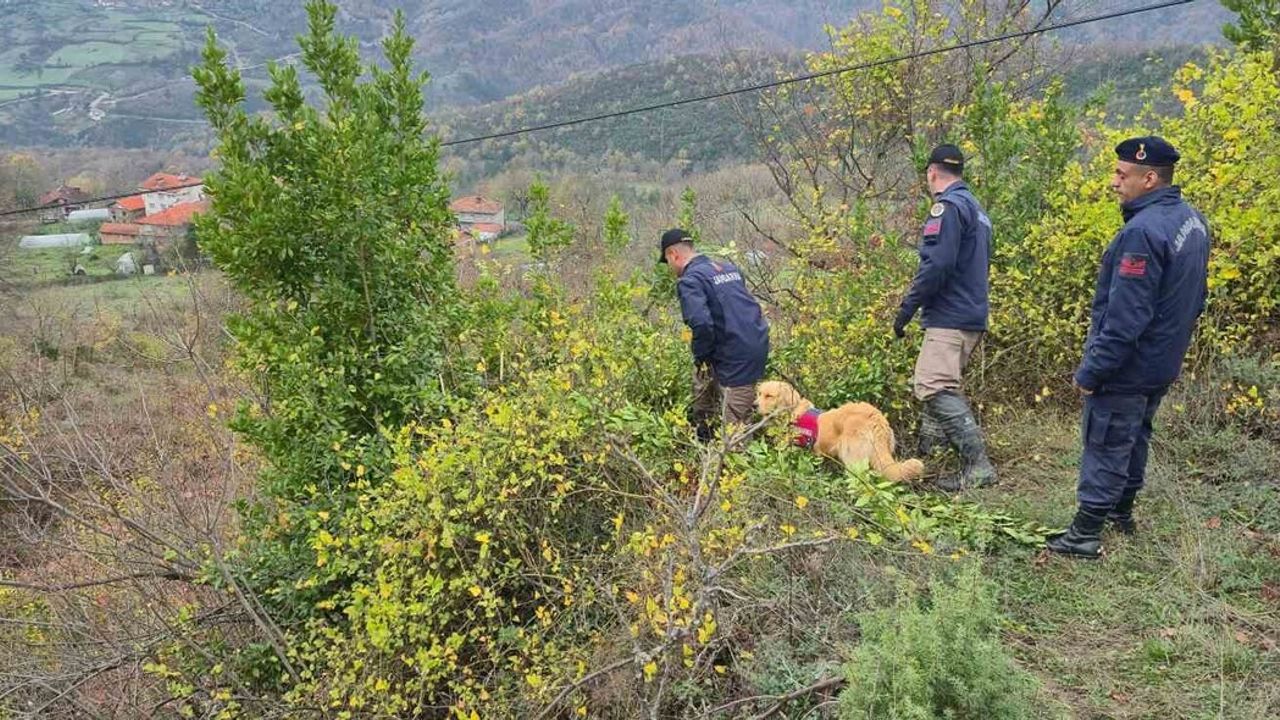 Bartın'da defne toplarken kaybolan kadının cansız bedeni bulundu