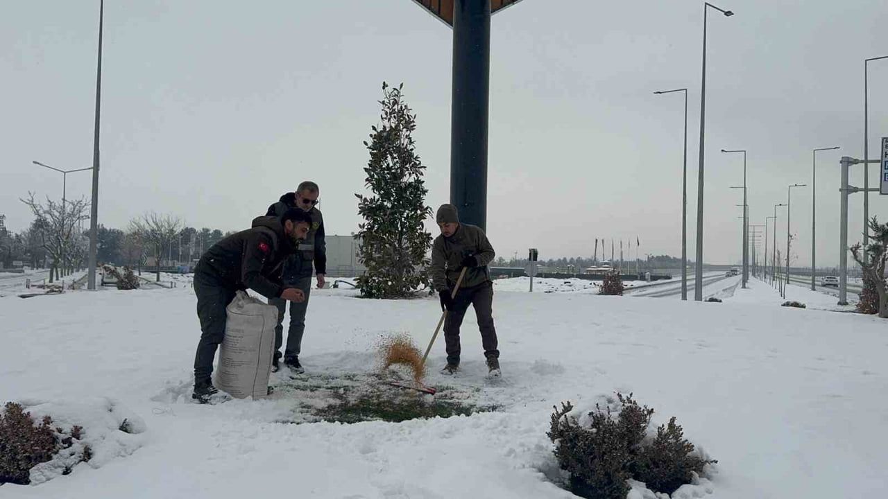 Batman'da yaban hayvanları için doğaya yem bırakıldı