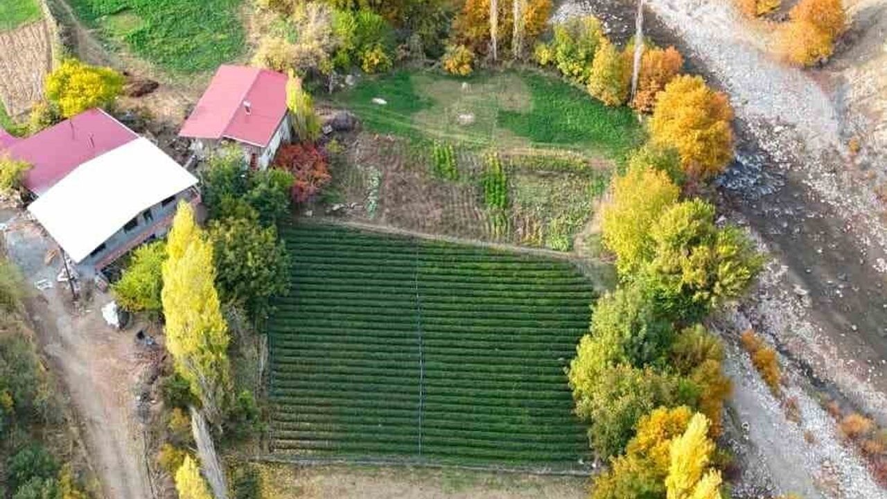 Batman Sason’da renk cümbüşü havadan kaydedildi