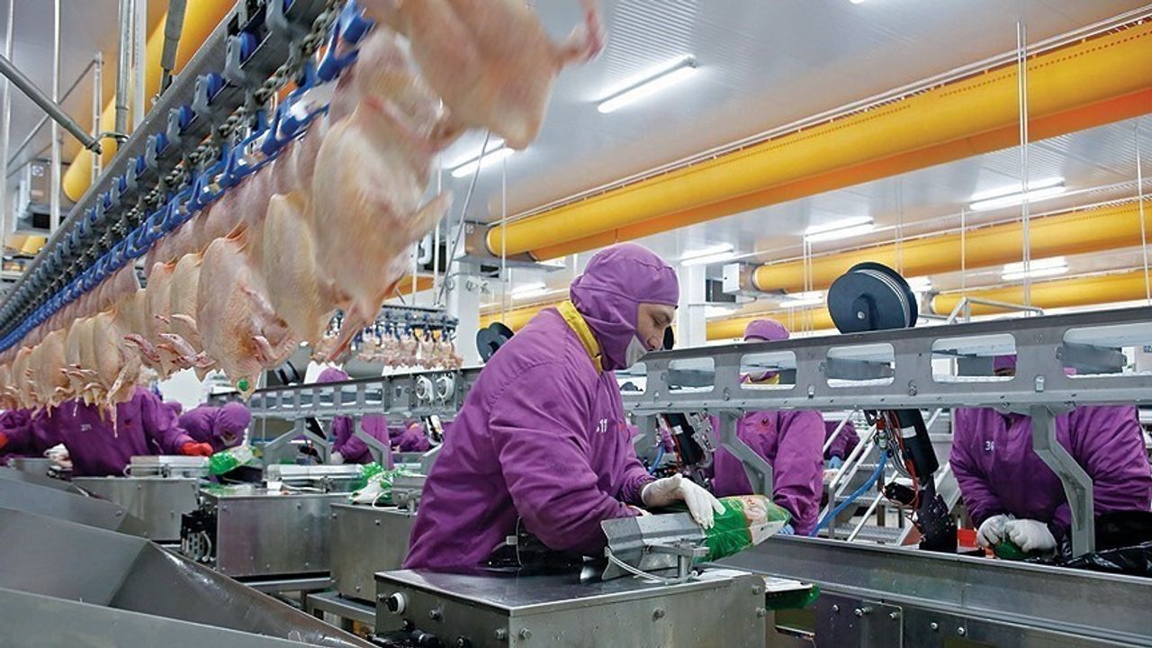 Beyaz ette üretim ve tüketim artışı: HasTavuk’un 2025 öngörüsü