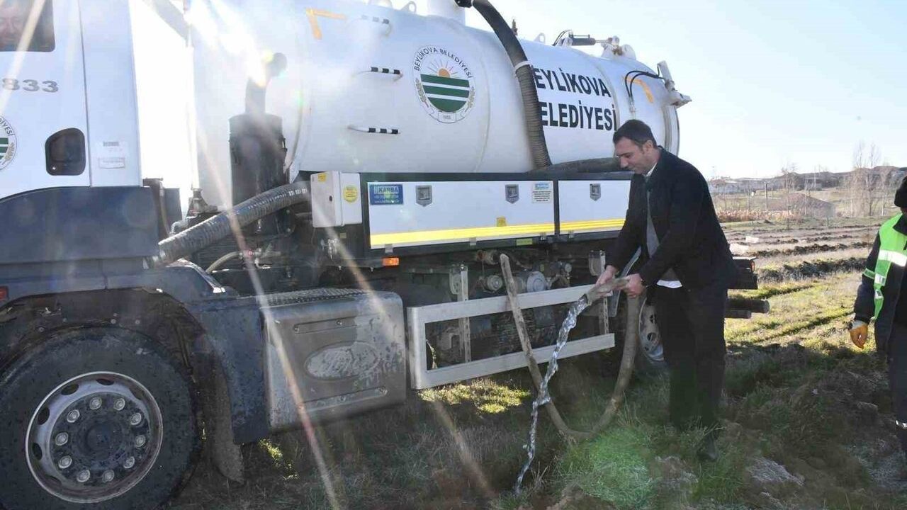Beylikova Belediyesi, bin karaçam fidanı dikti