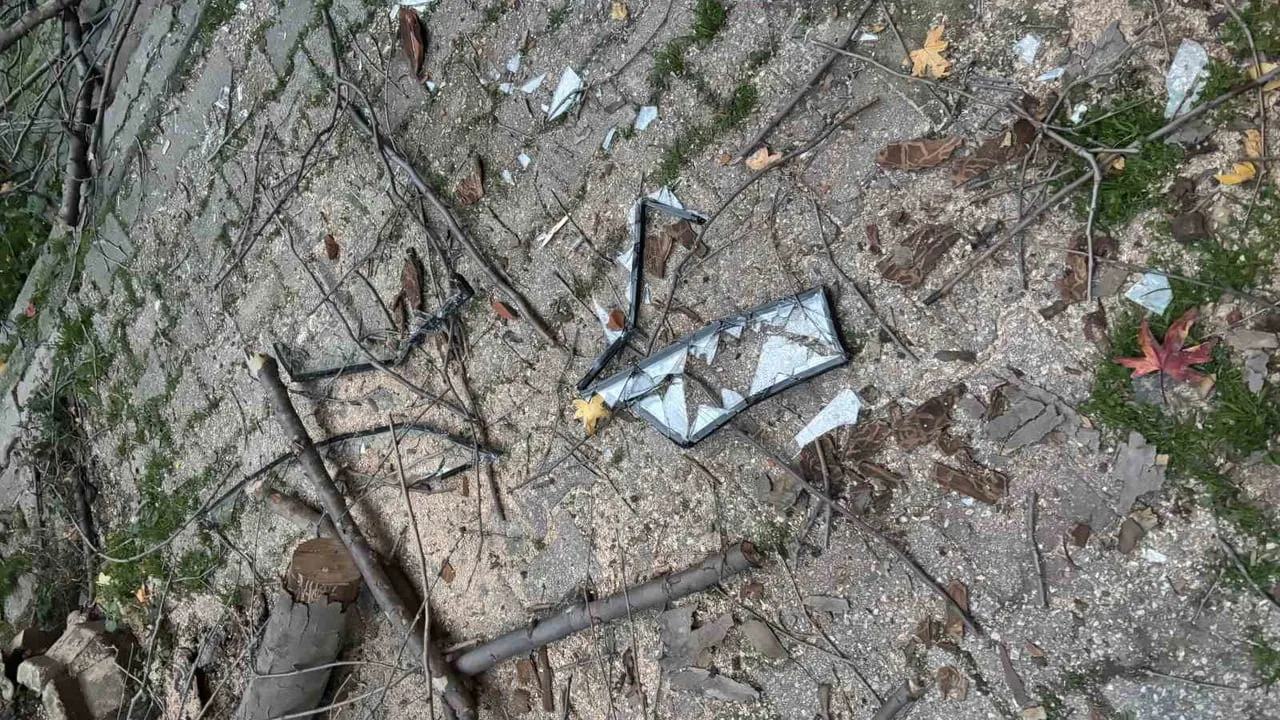 Beyoğlu Sağıroğlu Sokak’ta kırılan ağaç dalları binaya düştü