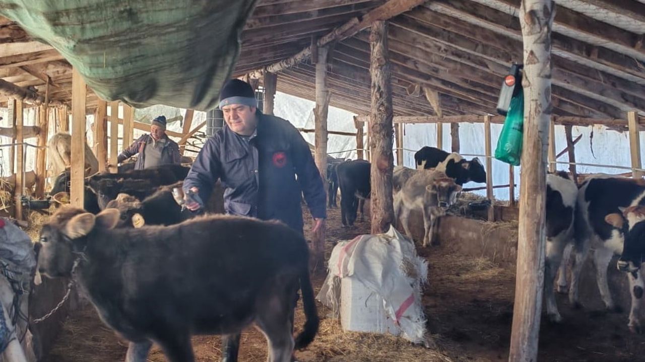 Beyşehir'de hayvan sağlığı için aşılama ve denetimler sürüyor