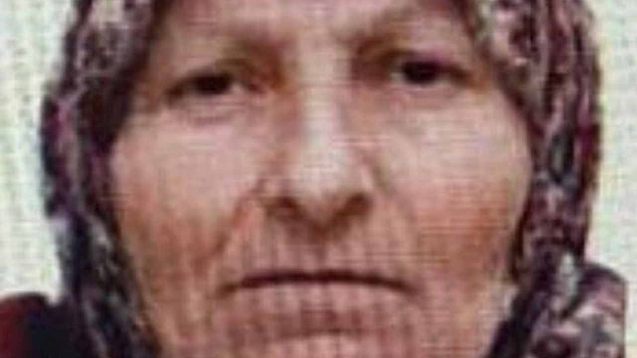 Bilecik'te kaybolan 67 yaşındaki kadın jandarma tarafından bulundu