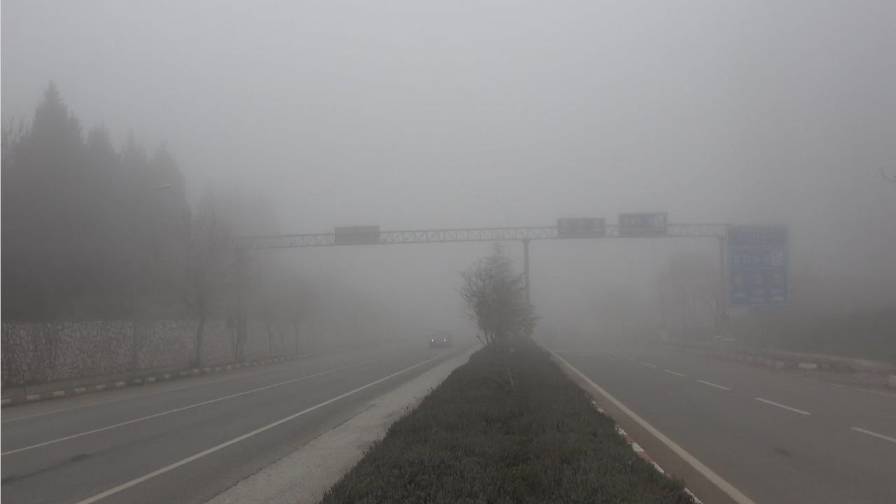 Bilecik'te Yoğun Sis Hayatı Olumsuz Etkiledi
