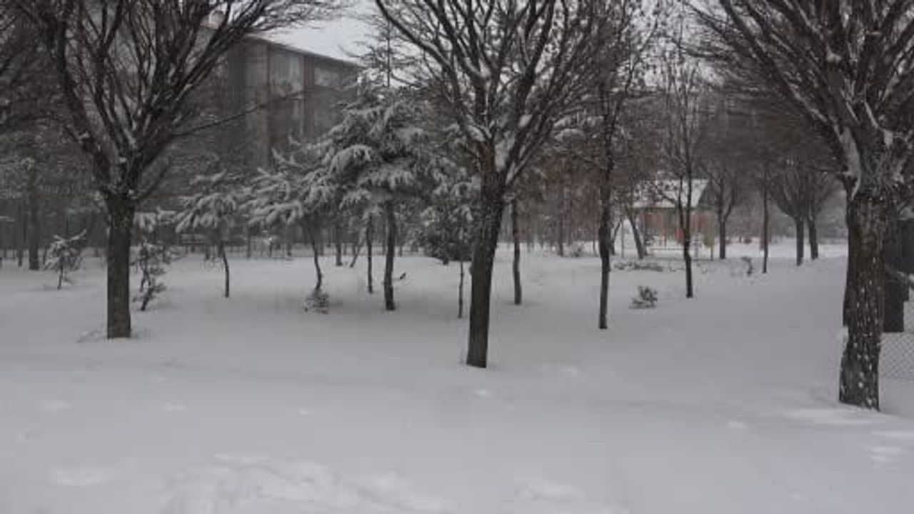 Bitlis’te gece başlayan kar 180 köy yolunu ulaşıma kapattı