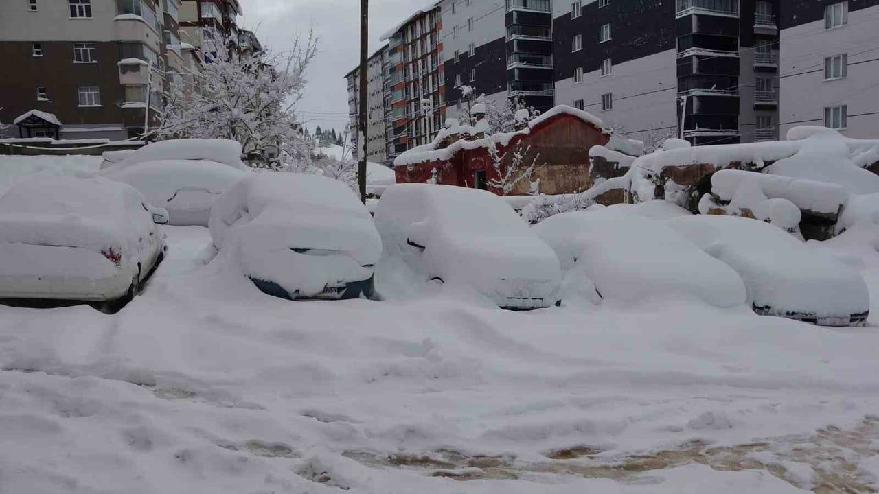 Bitlis'te Yoğun Kar: Evler, Araçlar ve Yön Tabelaları Karda Kayboldu
