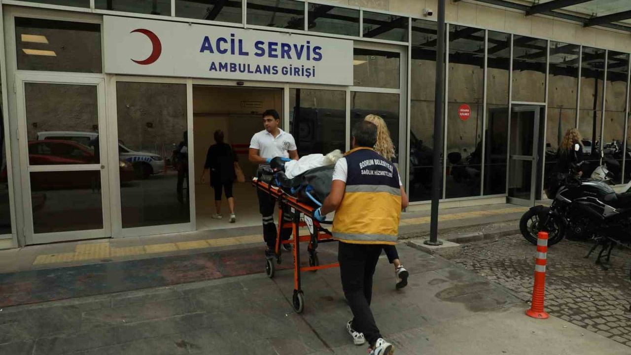 Bodrum'da Yarımada Genelinde Sağlık ve Hasta Nakil Hizmetleri