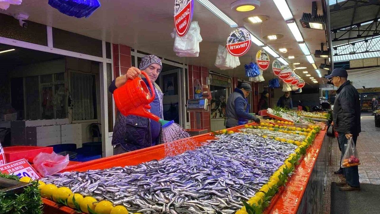 Bolu'da hamsi fiyatı 150 liraya geriledi