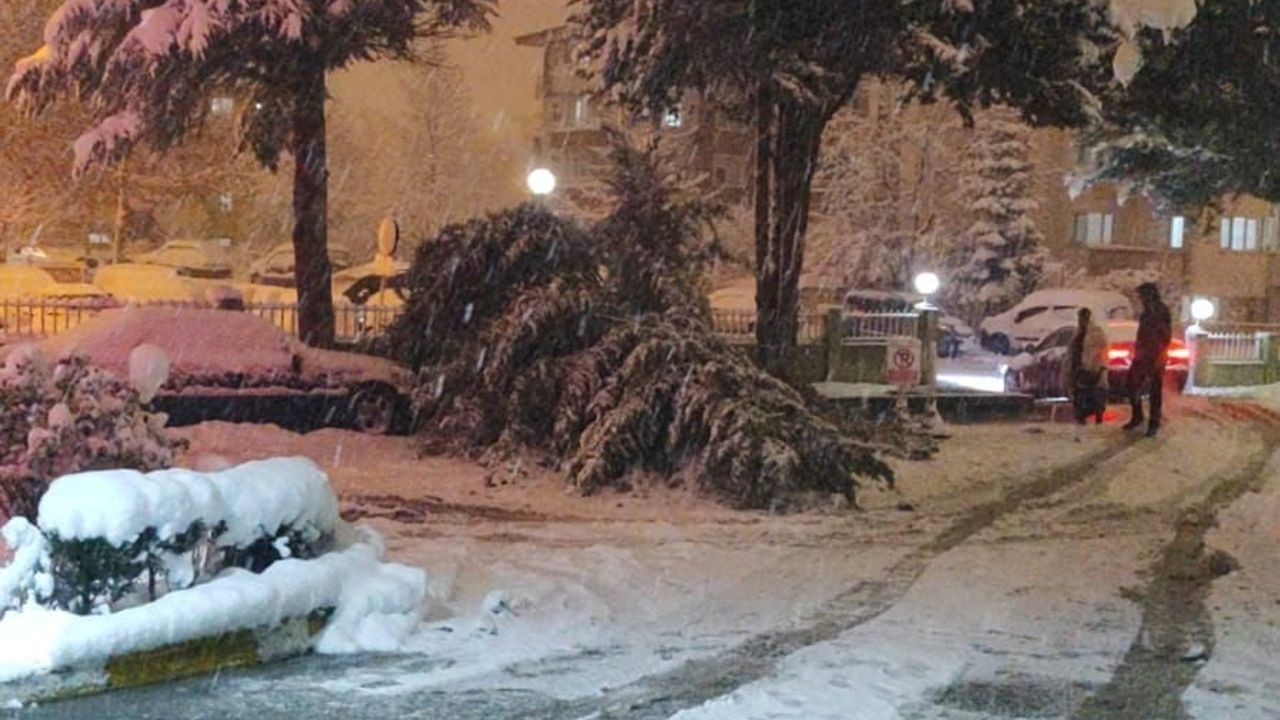 Bolu’da hastane bahçesindeki ağaç park halindeki araca devrildi