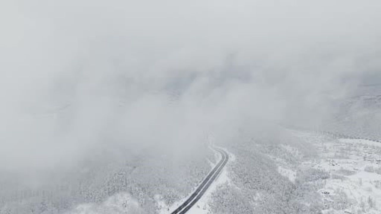 Bolu Dağı ve Düzce yaylalarında kartpostallık kar manzarası