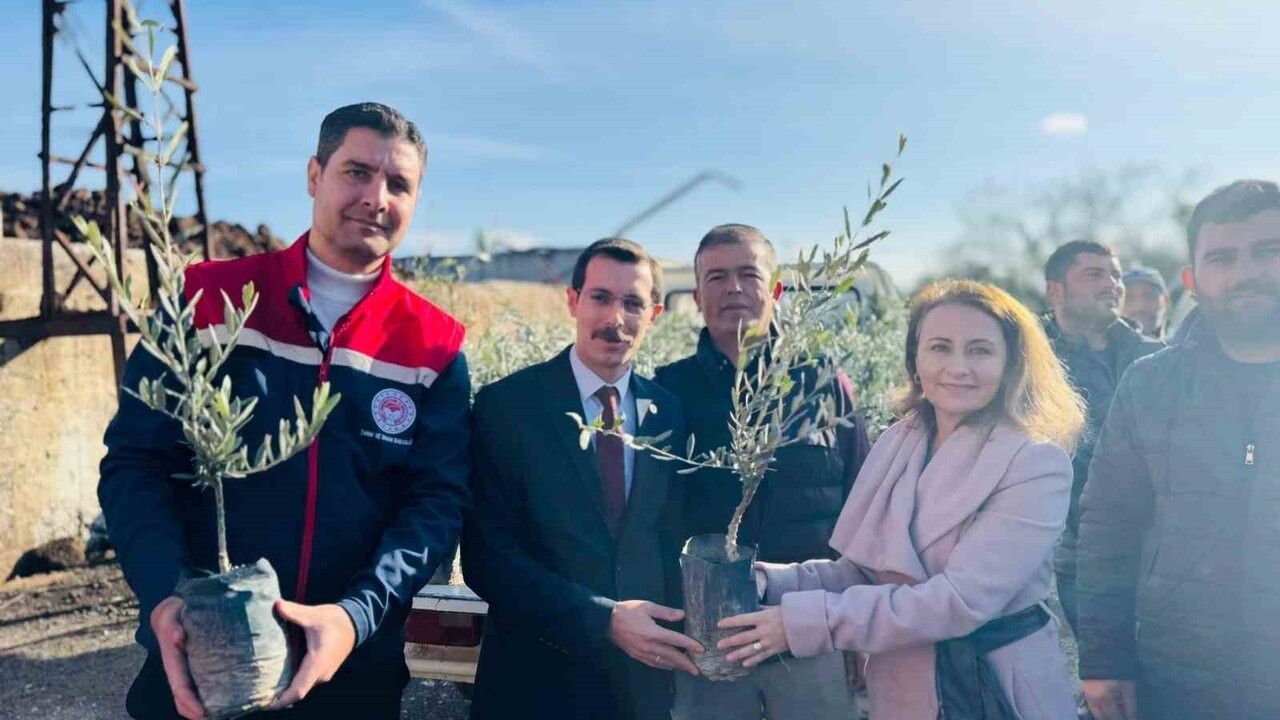 Bozdoğan’da 8 bin 700 fidan üreticilere dağıtıldı