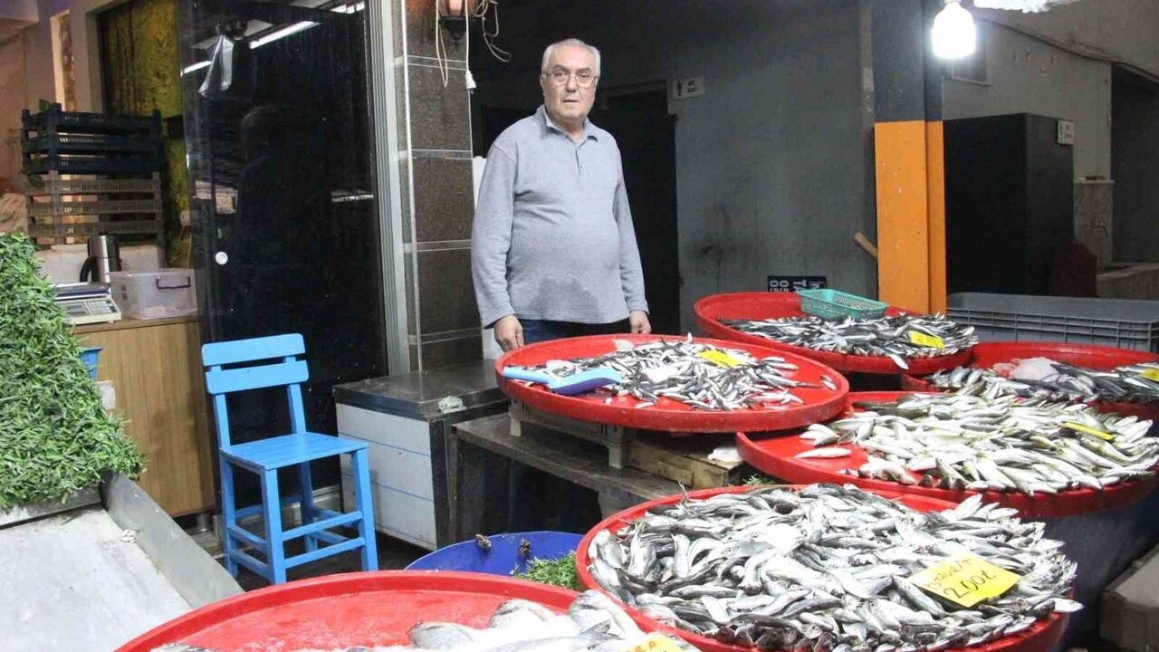 Bozdoğan’da hamsi tezgahların başında: İstavrit ve sardalya da rağbet görüyor