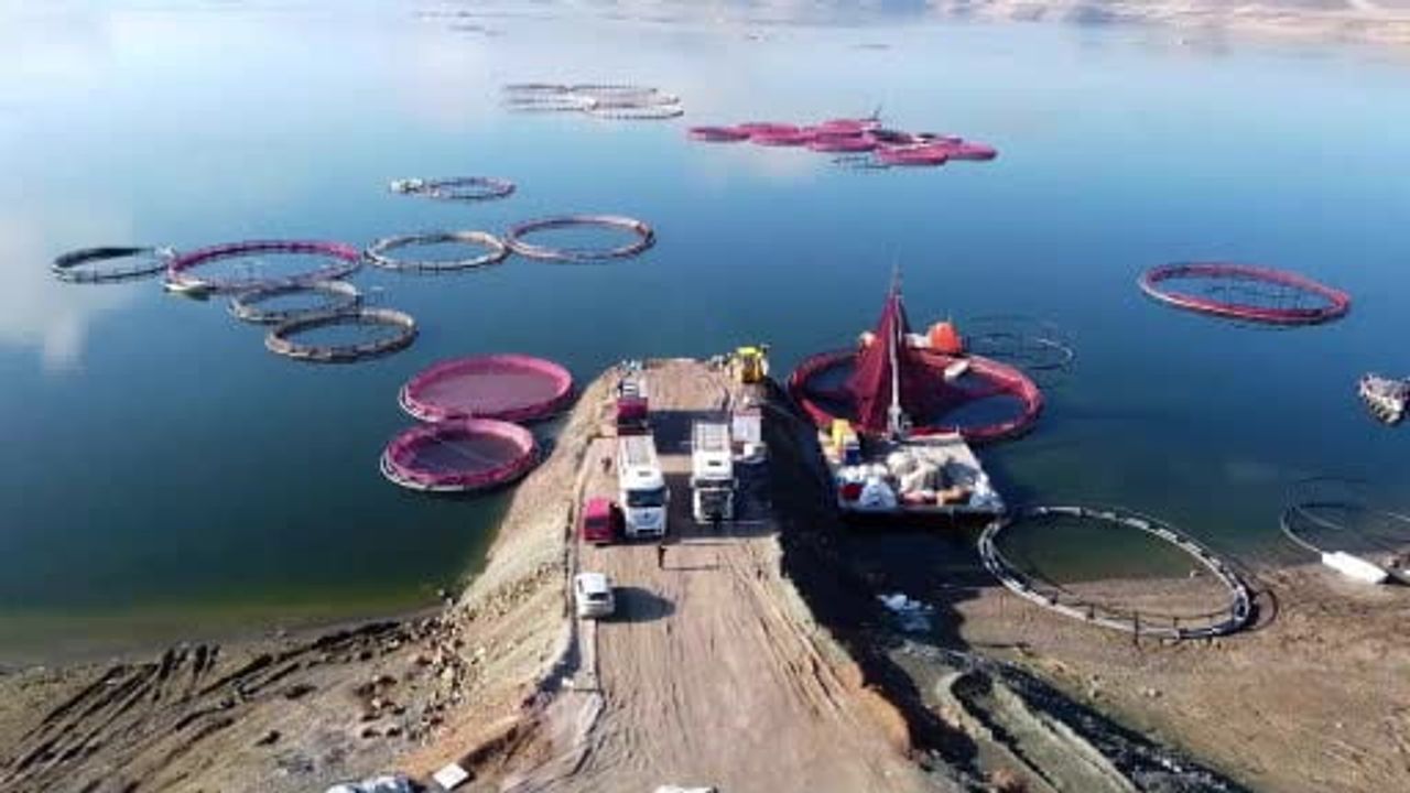 Bozkırda yetişen alabalıklar Rusya ve Japonya pazarına gidiyor