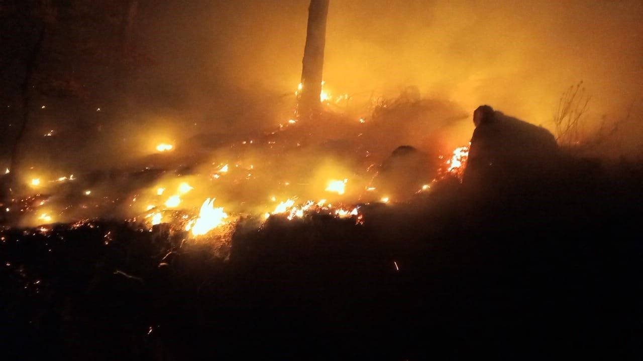 Bozyazı Tekmen Mahallesi'nde orman yangını kontrol altına alındı