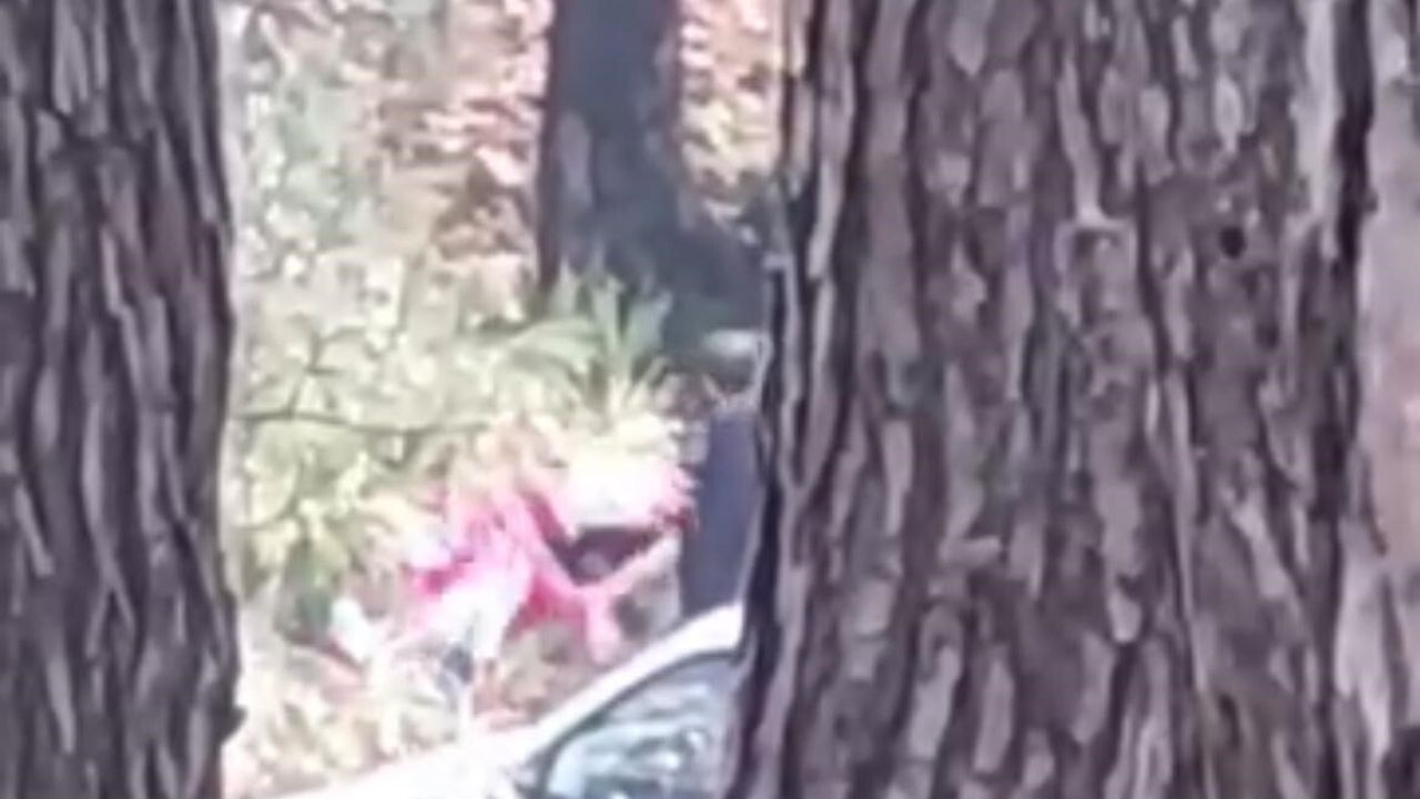 Buca ormanlık alanda kadına şiddet: Şüpheli E.A. kısa sürede yakalandı