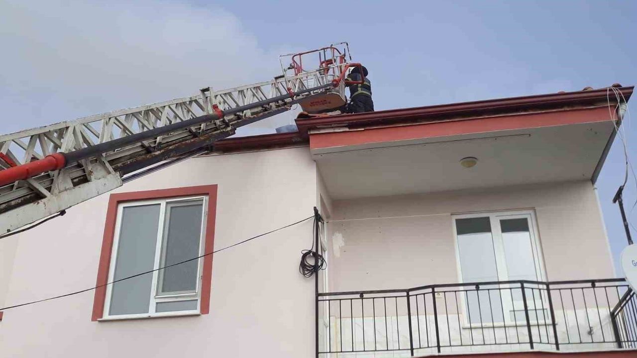 Bucak'ta bacada çıkan yangın itfaiye tarafından söndürüldü