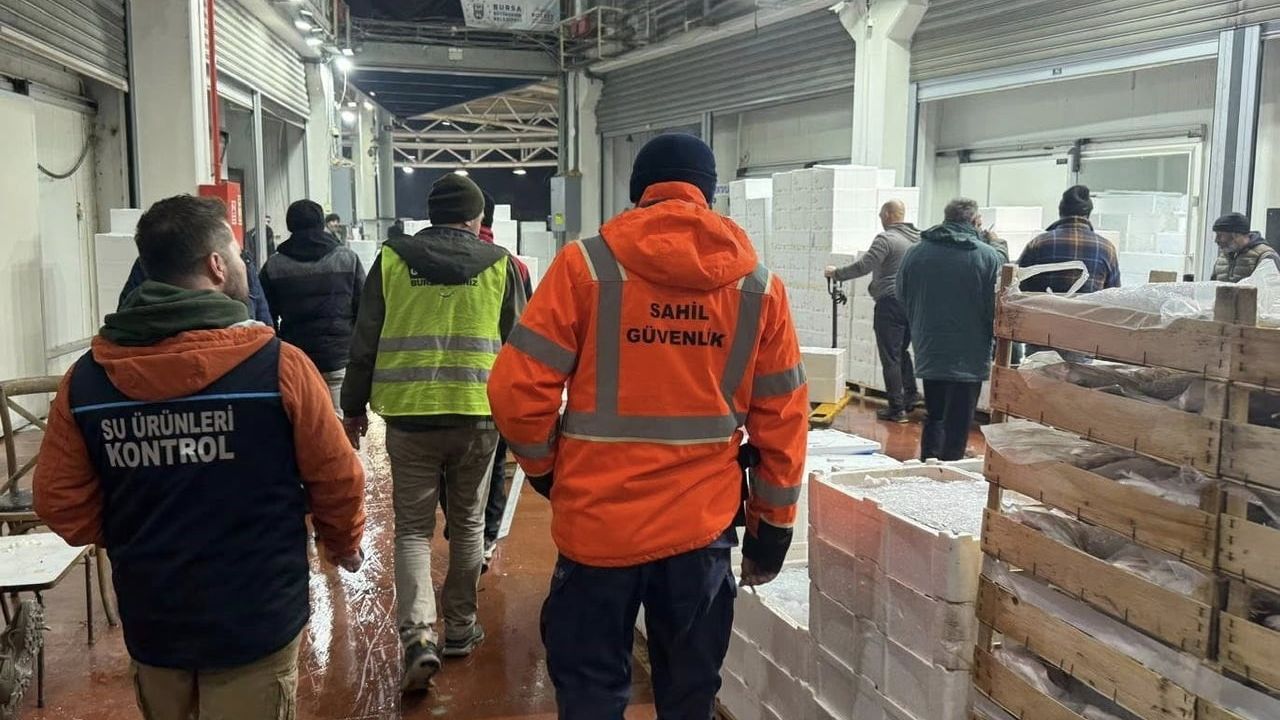 Bursa Balık Hali'nde Şafak Operasyonu: 615 kg İstavrite El Konuldu