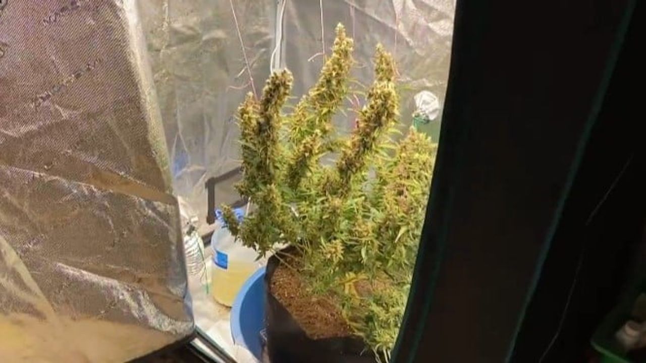 Bursa’da jandarma operasyonları: Zehir tacirlerine ağır darbe