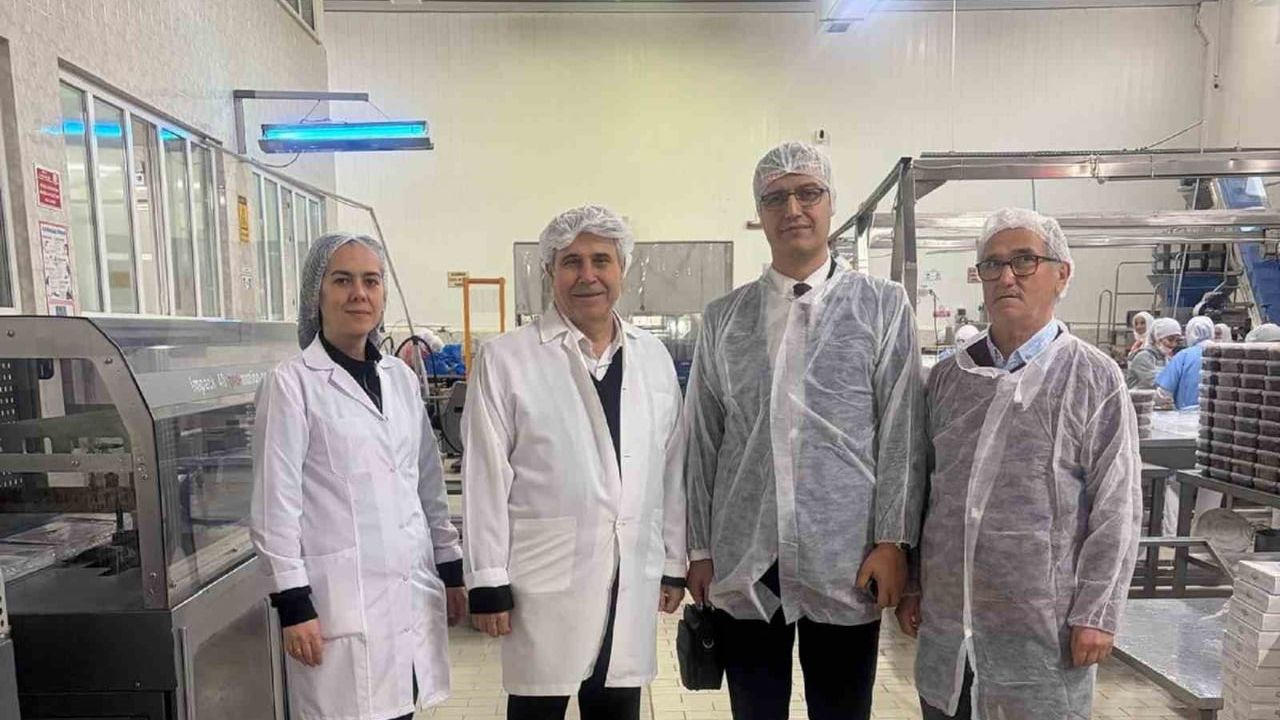 Bursa'da kestanenin geleceği İlka Şekerleme ziyaretiyle masaya yatırıldı