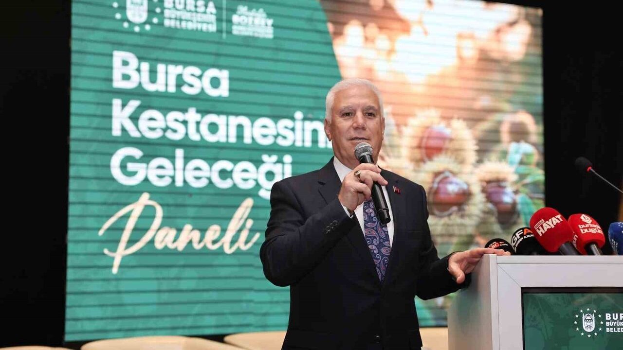 Bursa kestanesi Büyükşehir ile yeniden canlanıyor