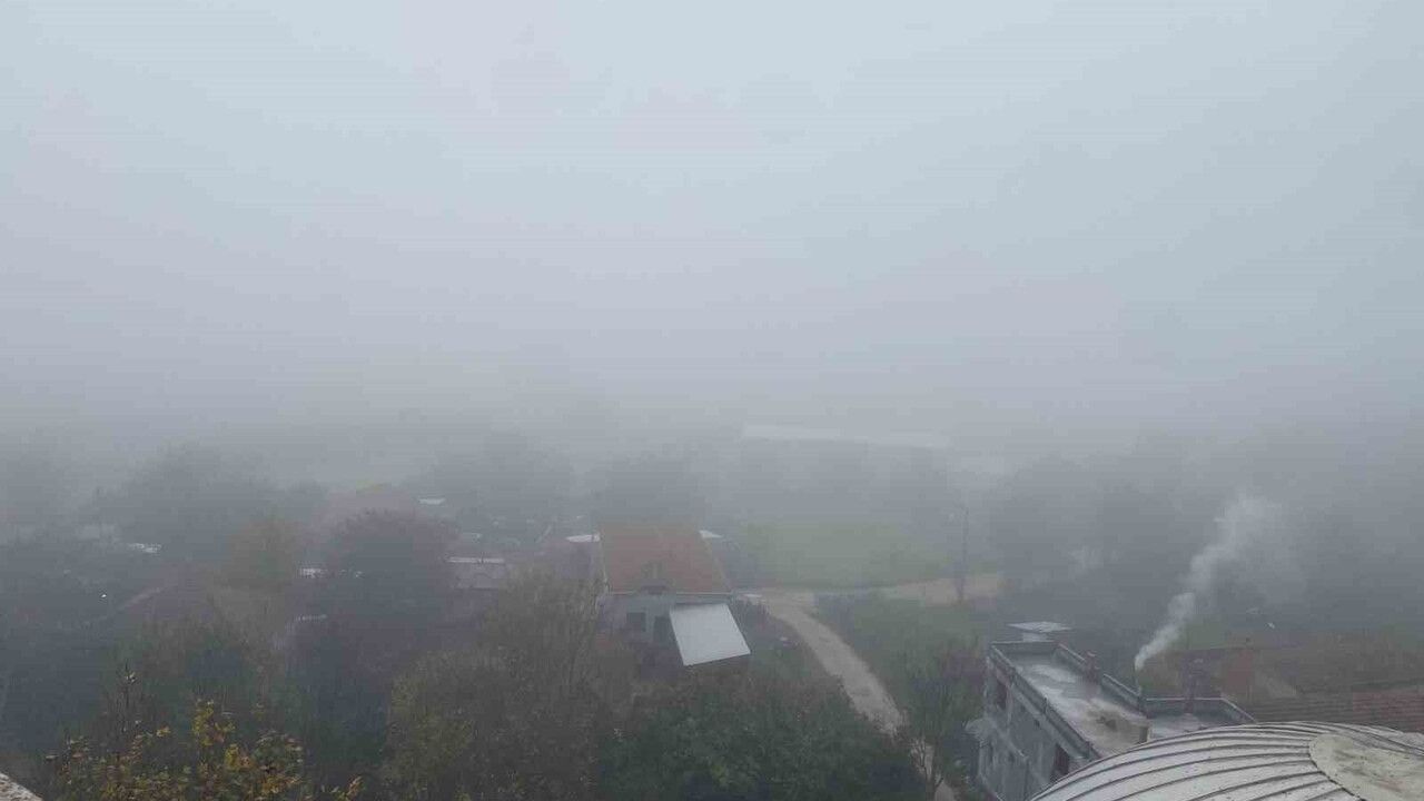 Bursa Mudanya'da 10 gündür kayıp olan 80 yaşındaki Mustafa Abi için aramalar son güne girdi