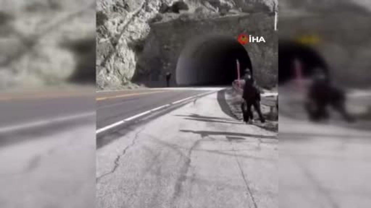 Call of Duty geliştiricisi Vince Zampella trafik kazasında hayatını kaybetti