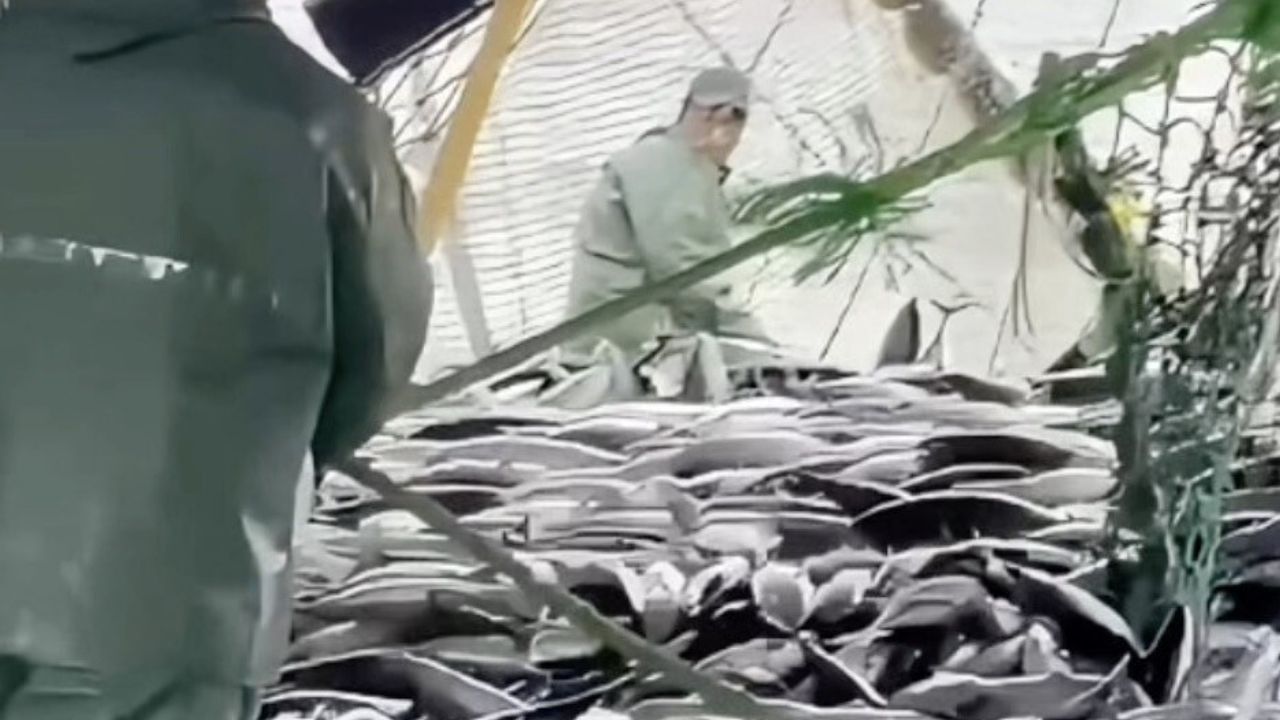 Çanakkaleli balıkçılar sezondan memnun: İstavrit akımı Ocak ortası bekleniyor