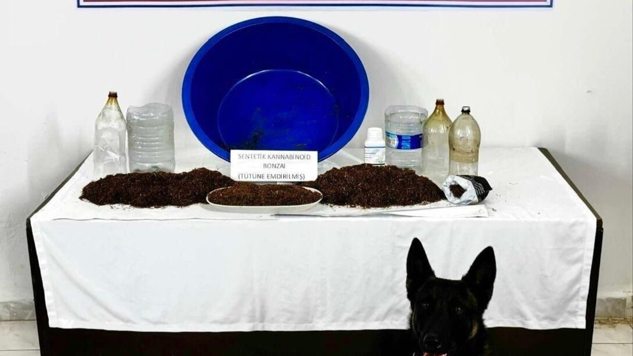 Çankırı'da jandarma operasyonu: tütüne emdirilmiş sentetik kannabinoid ele geçirildi