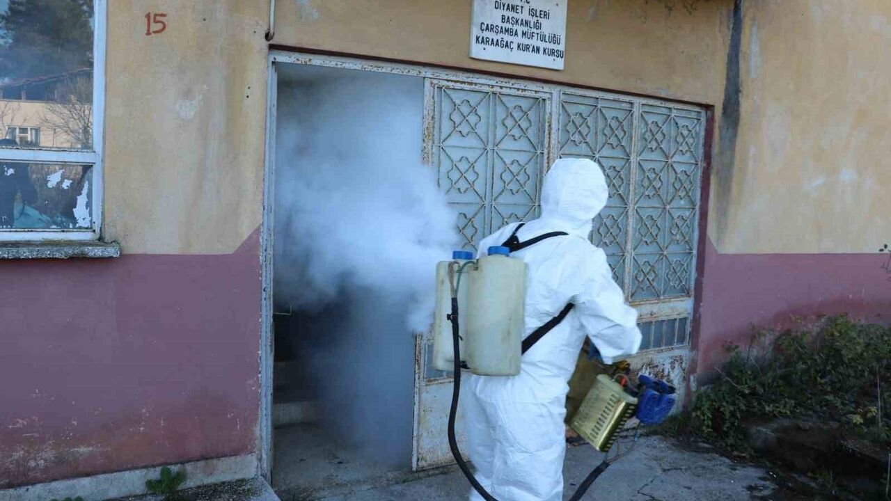 Çarşamba’da kahverengi kokarca kışlak mücadelesi sürüyor