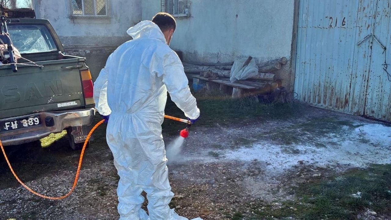 Çavdarhisar'da hayvan işletmelerinde kapsamlı dezenfeksiyon çalışması