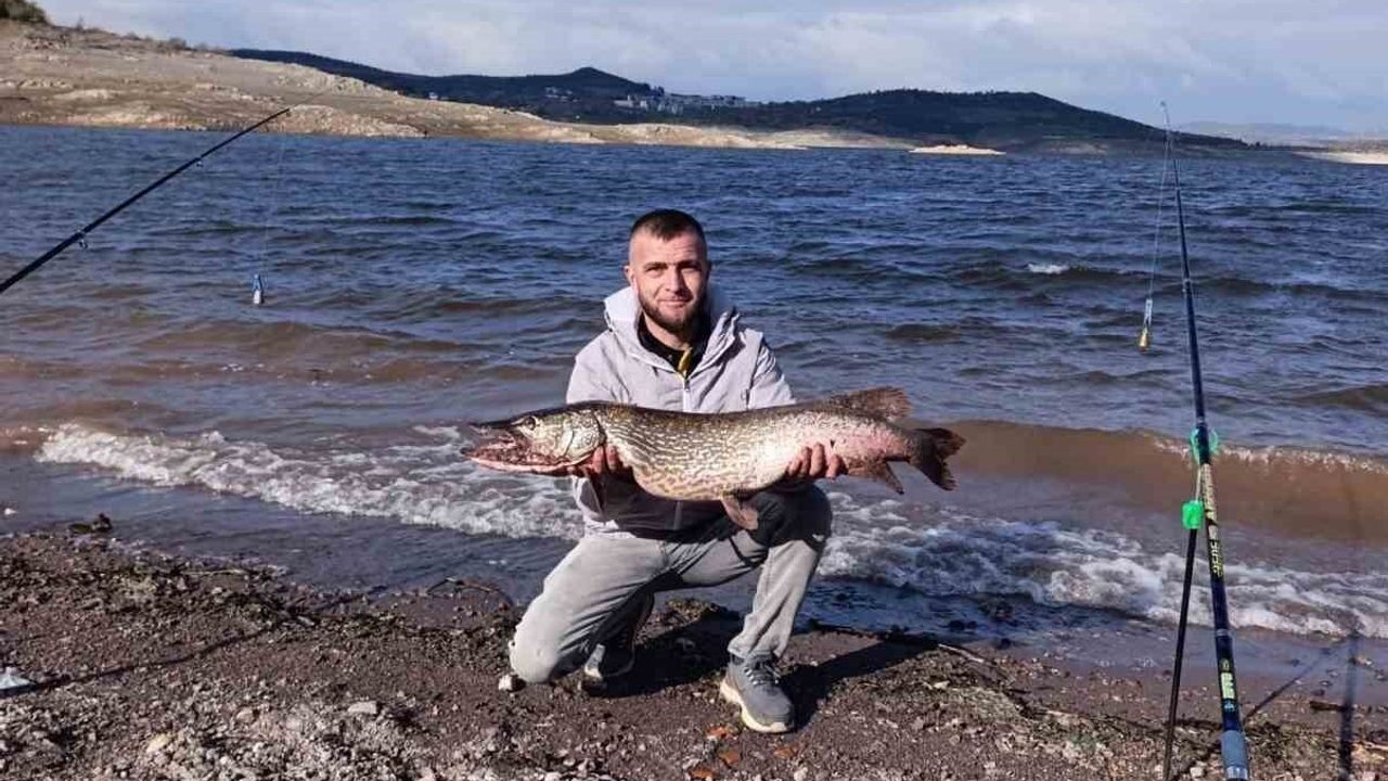 Çaygören Barajı'nda 8 kilo 750 gramlık dev sazan ve karaca sürprizi