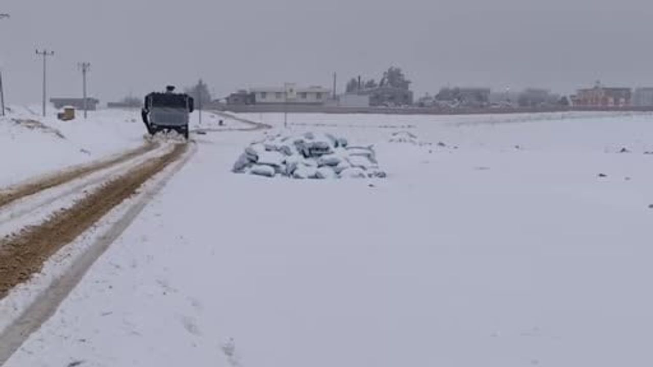 Ceylanpınar'da kapanan yol TOMA ile açıldı