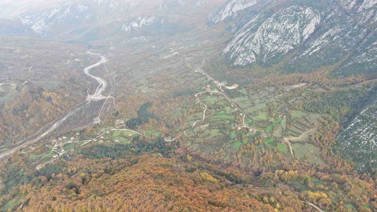 Cide Şenköy'de Sonbahar: Sarıçam Evleri ve Renklenen Ormanlar