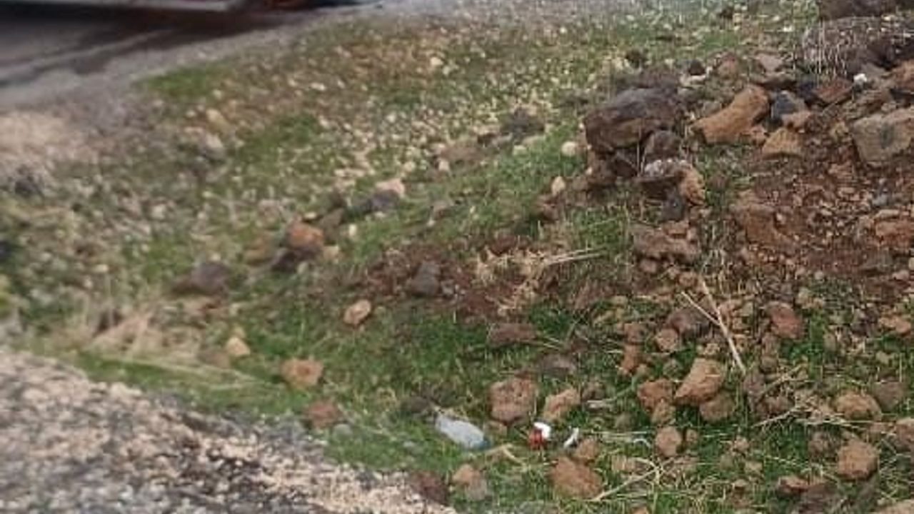 Çınar'da tır dorsesinde yangın: Kabin ayrımıyla daha büyük zarar önlendi