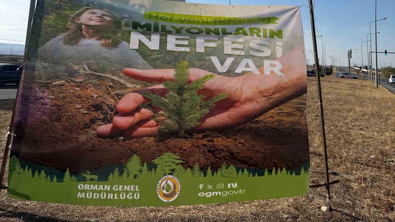 Cizre’de Havalimanı Yoluna 450 Fidanla ‘Geleceğe Nefes’