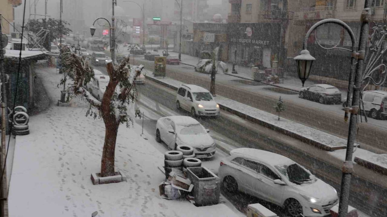 Cizre'de uzun yılların ardından yağan kar ulaşımı felç etti